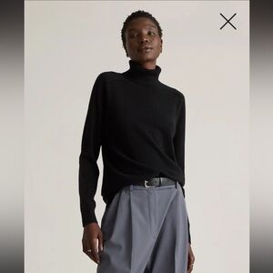 Quince Mongolian Cashmere Turtleneck Sweater